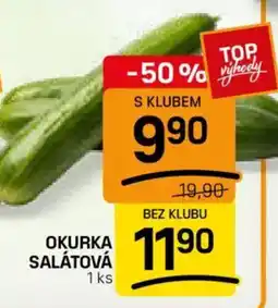 Flop Okurka salátová nabídka