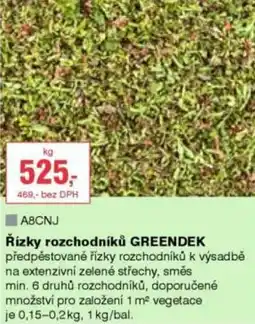 DEK Řízky rozchodníků GREENDEK nabídka