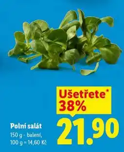 Lidl POLNÍ SALÁT nabídka