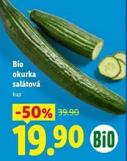 Lidl BIO OKURKA SALÁTOVÁ nabídka