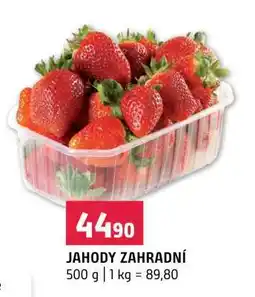 Terno Jahody zahradní nabídka