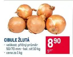 Makro Cibule žlutá nabídka