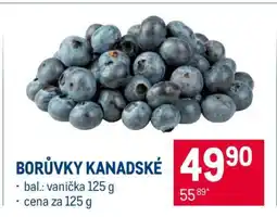 Makro Borůvky kanadské nabídka