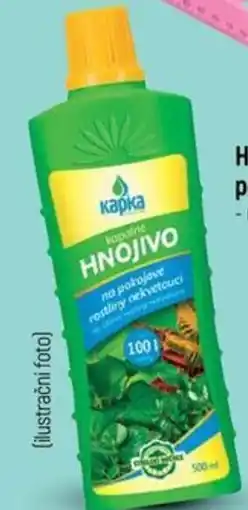 Globus Hnojiva pro pokojové rostliny nabídka