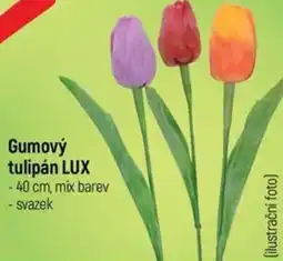 Globus Gumový tulipán LUX nabídka