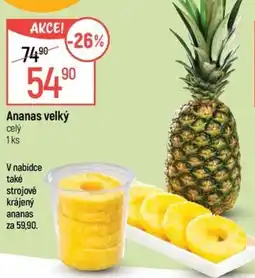 Globus Ananas velký celý nabídka
