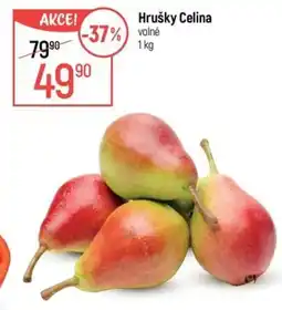 Globus Hrušky Celina volné nabídka