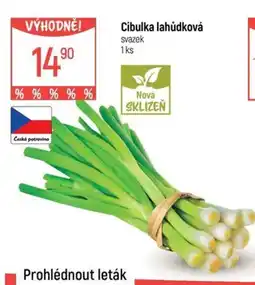 Globus Cibulka lahůdková svazek nabídka
