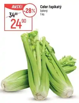 Globus Celer řapíkatý balený nabídka