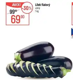 Globus Lilek fialový volný nabídka