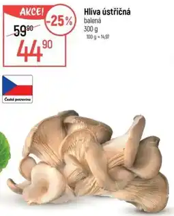 Globus Hlíva ústřičná balená nabídka