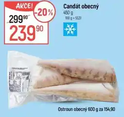 Globus Candát obecný nabídka