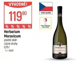 Globus Herbarium Moravicum nabídka