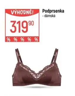 Globus Podprsenka nabídka