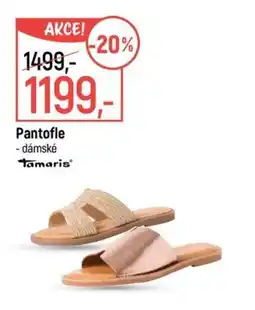 Globus Pantofle nabídka