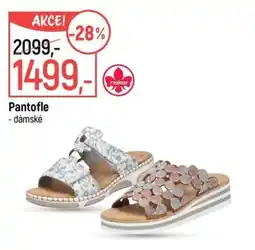 Globus Pantofle nabídka