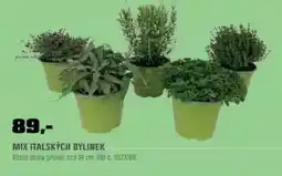 OBI Mix italských bylinek nabídka