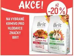 Globus Na vybrané krmivo pro hlodavce značky Brit nabídka