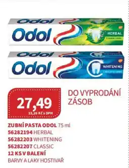 Kubík potraviny Zubní pasta Odol nabídka