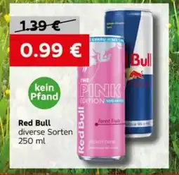 VELTA Free Shop RED BULL nabídka