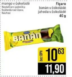 Jip Figaro nabídka