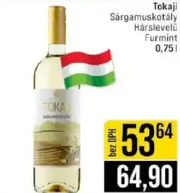 Jip Tokaji nabídka