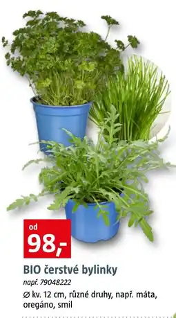 Bauhaus BIO čerstvé bylinky nabídka