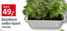 Bauhaus Bazalková sadba nabídka