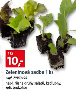Bauhaus Zeleninová sadba nabídka