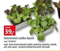 Bauhaus Zeleninová sadba nabídka