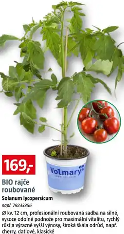 Bauhaus BIO rajče roubované nabídka