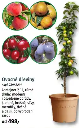 Bauhaus Ovocné dřeviny nabídka