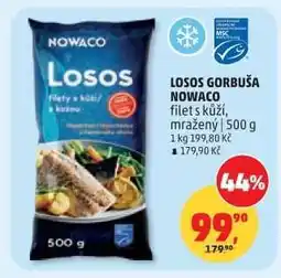 Penny Market LOSOS GORBUŠA NOWACO nabídka