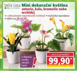 Norma Mini dekorační květina nabídka