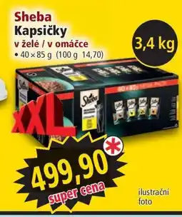 Norma Sheba Kapsičky nabídka