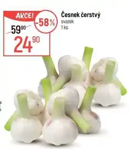 Globus Česnek čerstvý nabídka