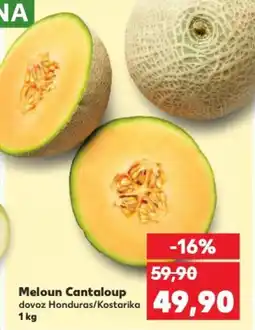 Kaufland Meloun Cantaloup nabídka