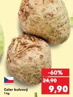 Kaufland Celer bulvový nabídka