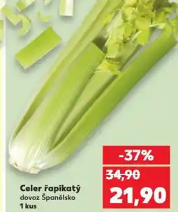 Kaufland Celer řapíkatý nabídka