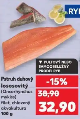 Kaufland Pstruh duhový lososovitý nabídka