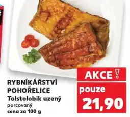 Kaufland RYBNÍKÁŘSTVÍ POHOŘELICE Tolstolobik uzený nabídka