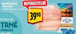 Albert Okouník mořský - filet s kůží, cena za nabídka