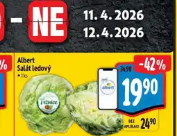 Albert Albert Salát ledový 1ks nabídka