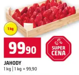 Terno Jahody nabídka