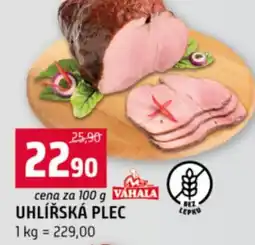 Terno Uhlířská plec nabídka
