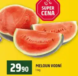 Terno Meloun vodní nabídka