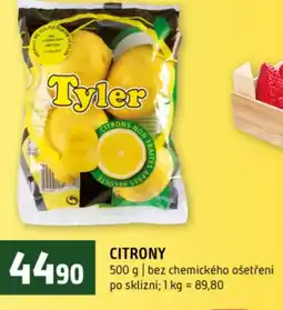 Terno Citrony nabídka