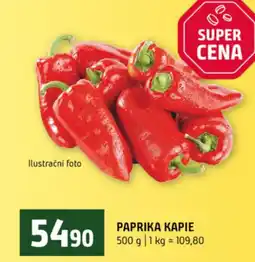 Terno Paprika kapie nabídka