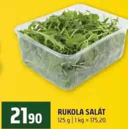 Terno Rukola salát nabídka