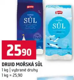 Terno Druid mořská sůl nabídka